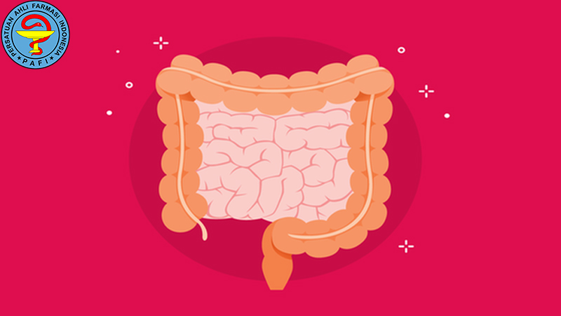 Tips PAFI Semarang: Cara Menjaga Kesehatan Usus